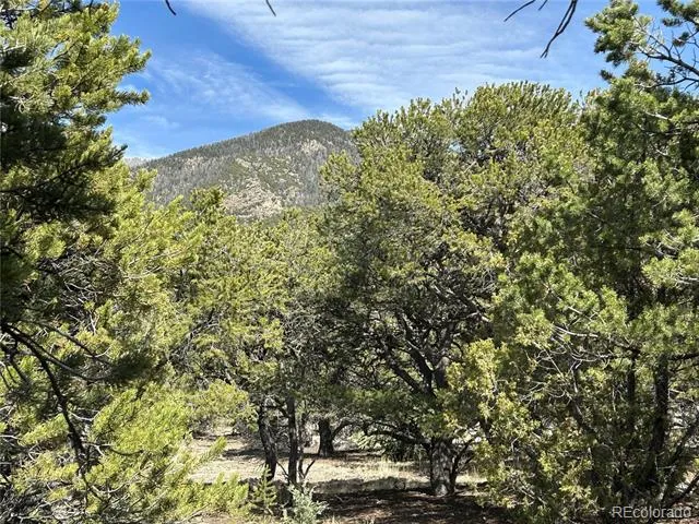 3545 Fallen Tree Place Crestone, CO 81131