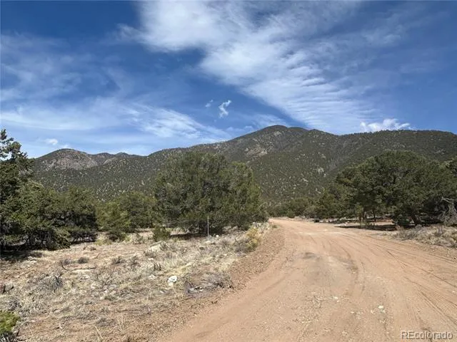 3545 Fallen Tree Place Crestone, CO 81131