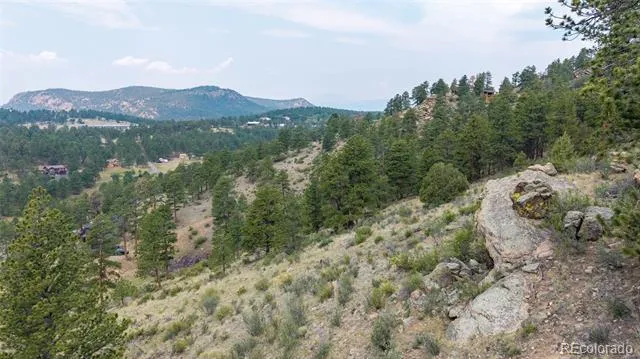 13990 Pine Valley Road Pine, CO 80470