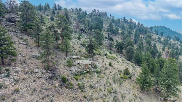 13990 Pine Valley Road Pine, CO 80470
