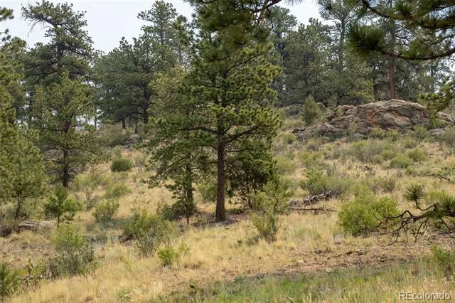 13990 Pine Valley Road Pine, CO 80470