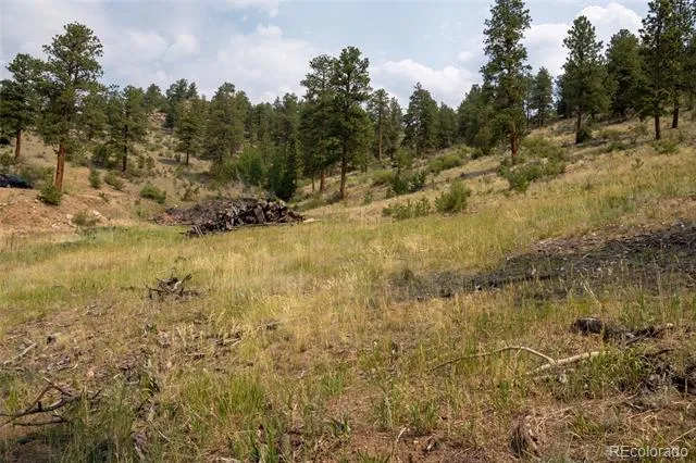 13990 Pine Valley Road Pine, CO 80470