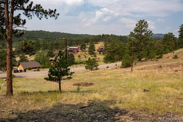 13990 Pine Valley Road Pine, CO 80470
