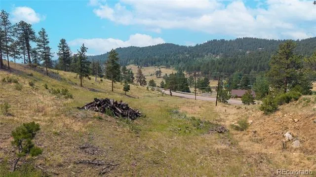 13990 Pine Valley Road Pine, CO 80470