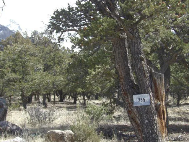 255 Baca Grant Way Crestone, CO 81131
