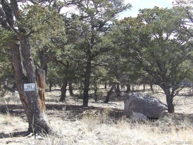 255 Baca Grant Way Crestone, CO 81131