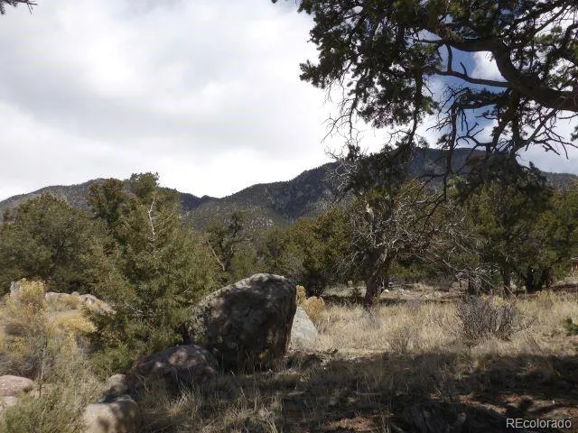 255 Baca Grant Way Crestone, CO 81131