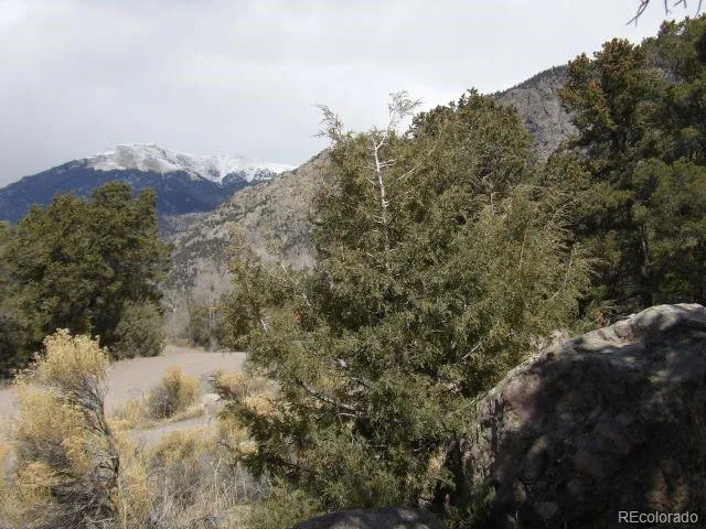 255 Baca Grant Way Crestone, CO 81131