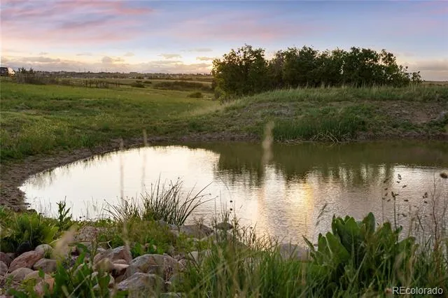 4347 Crowfoot Valley Road Castle Rock, CO 80108