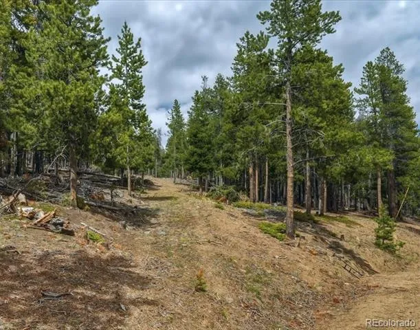 000 Sinton Road Evergreen, CO 80439