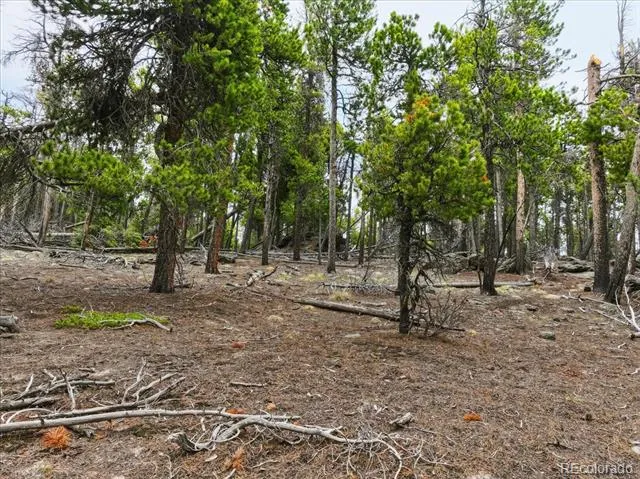 000 Sinton Road Evergreen, CO 80439