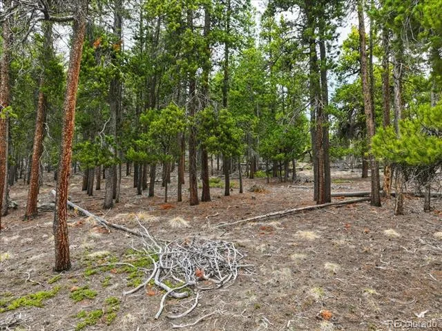 000 Sinton Road Evergreen, CO 80439