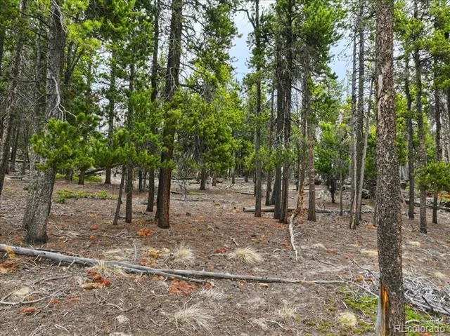 000 Sinton Road Evergreen, CO 80439