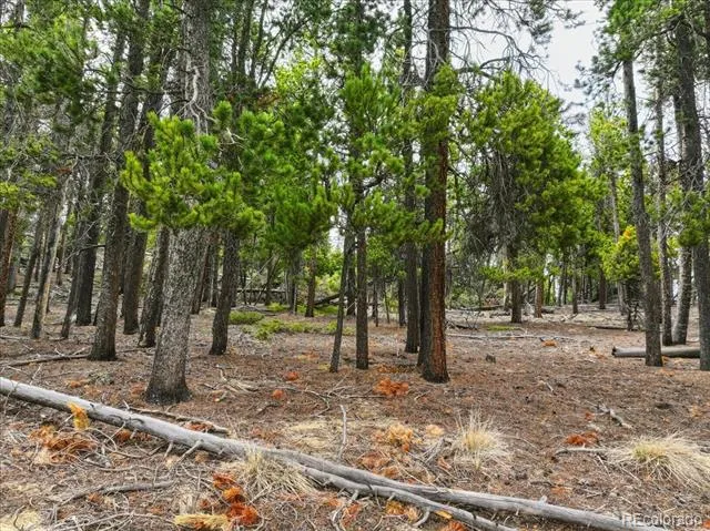 000 Sinton Road Evergreen, CO 80439