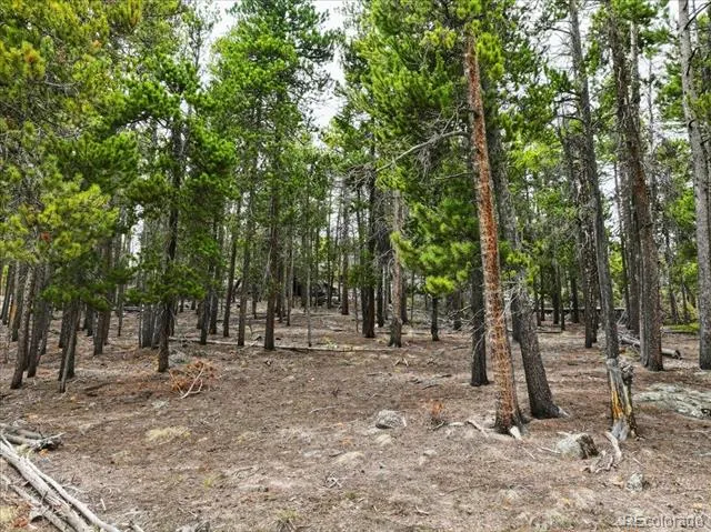 000 Sinton Road Evergreen, CO 80439