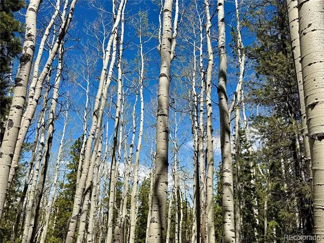 000 Sinton Road Evergreen, CO 80439