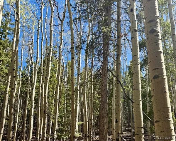 000 Sinton Road Evergreen, CO 80439