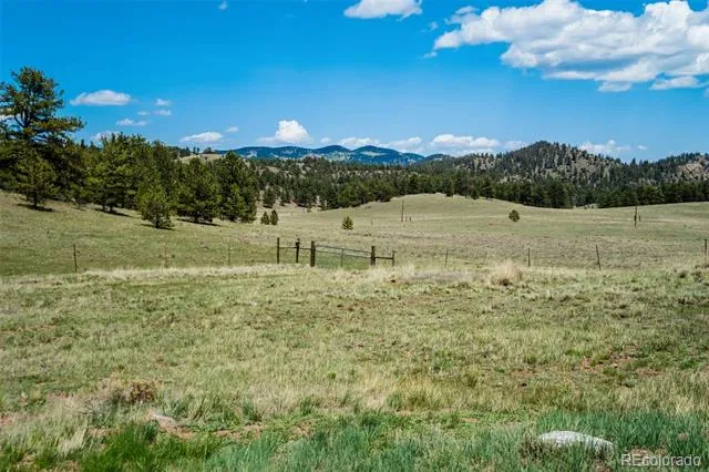 994 Deer Lane Guffey, CO 80820