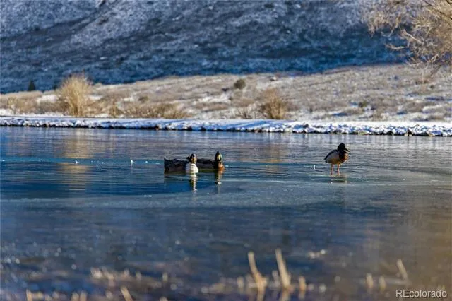 22675 Highway 141 Whitewater, CO 81527