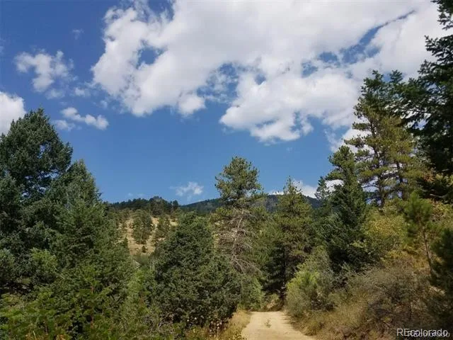 6194 Pyrenees Trail Golden, CO 80403