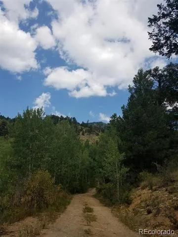 6194 Pyrenees Trail Golden, CO 80403
