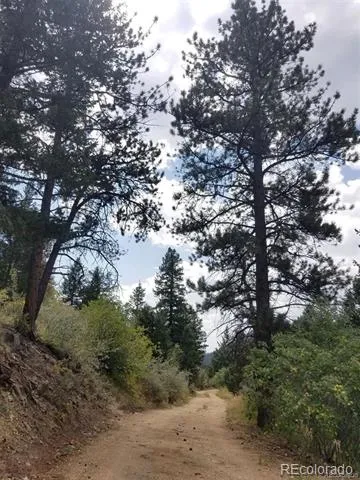 6194 Pyrenees Trail Golden, CO 80403