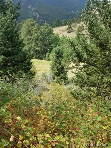 6194 Pyrenees Trail Golden, CO 80403