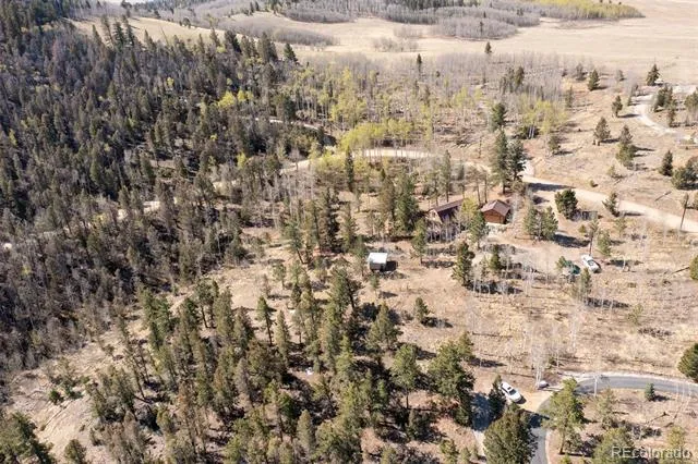 447 Blacksmith Road Hartsel, CO 80449