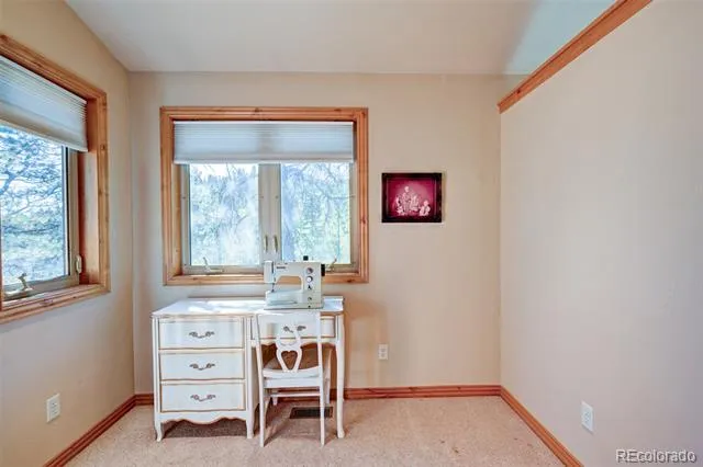 447 Blacksmith Road Hartsel, CO 80449