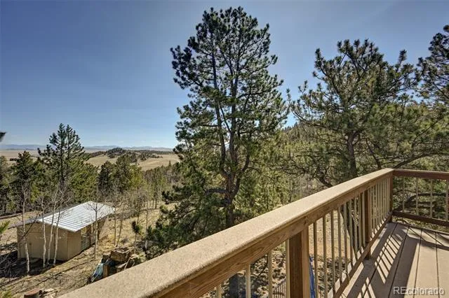 447 Blacksmith Road Hartsel, CO 80449