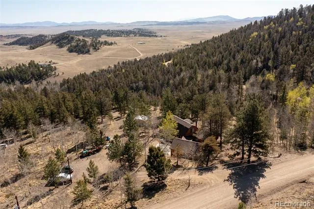 447 Blacksmith Road Hartsel, CO 80449