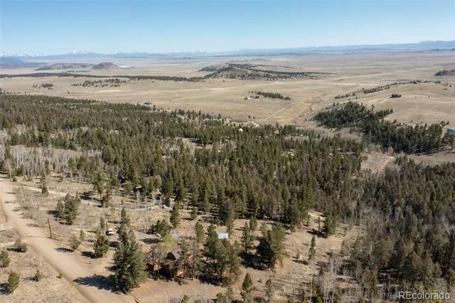 447 Blacksmith Road Hartsel, CO 80449