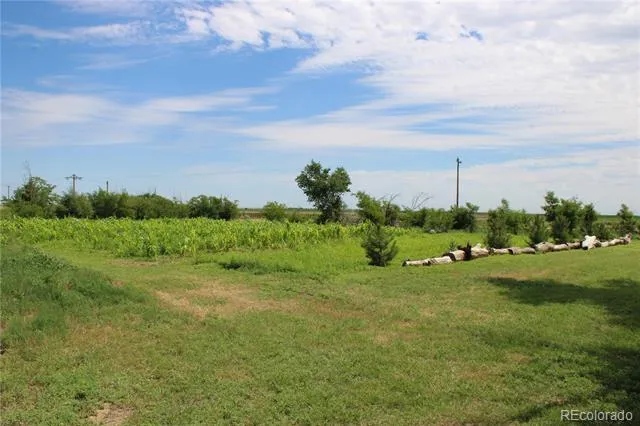 1901 County Road H Joes, CO 80822
