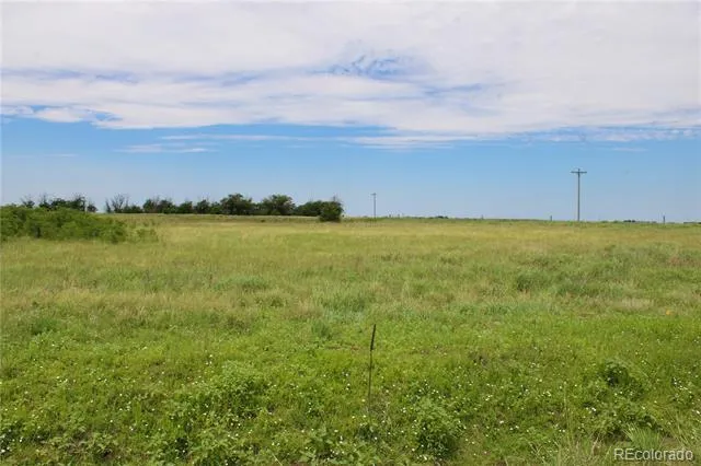 1901 County Road H Joes, CO 80822