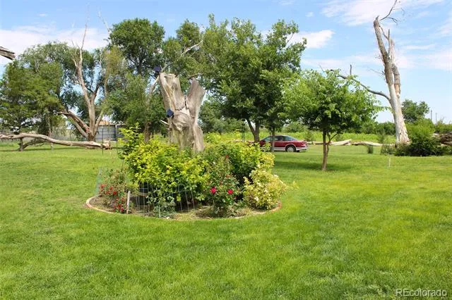 1901 County Road H Joes, CO 80822