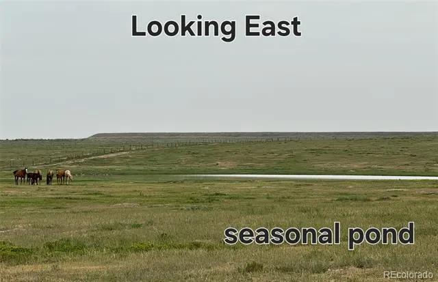 county rd 96 lot 2 Pierce, CO 80520