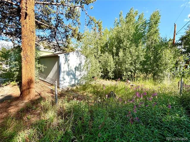 1705 Mount Lincoln Drive W Leadville, CO 80461