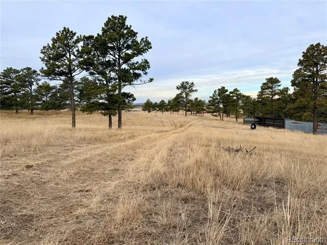 06 County Road 122 Ramah, CO 80832