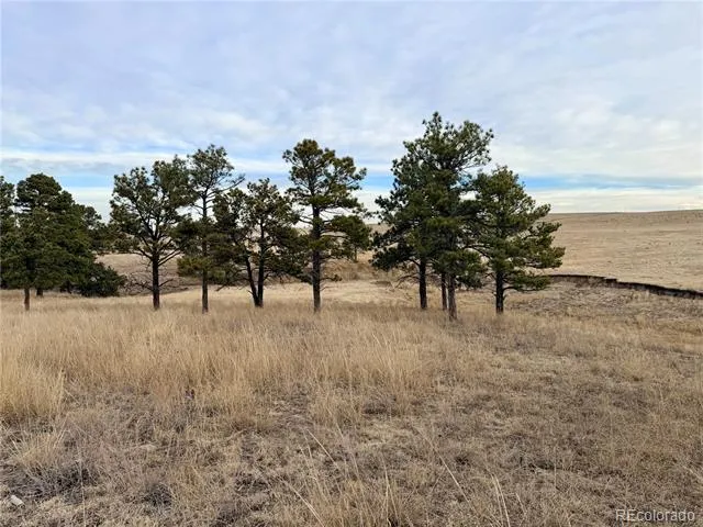 06 County Road 122 Ramah, CO 80832