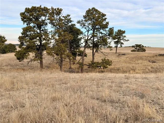 06 County Road 122 Ramah, CO 80832