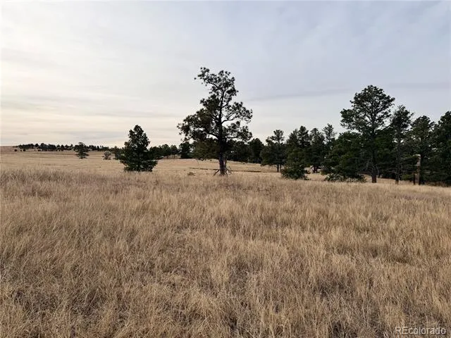 06 County Road 122 Ramah, CO 80832