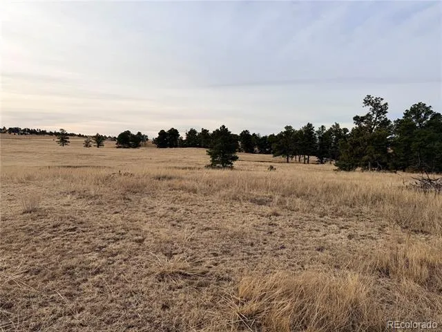 06 County Road 122 Ramah, CO 80832
