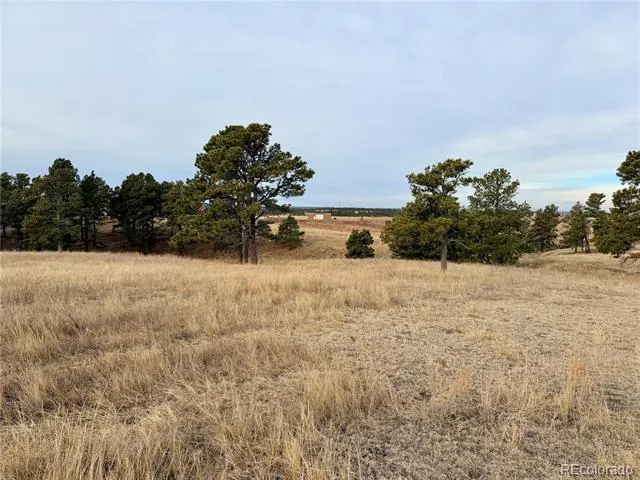 06 County Road 122 Ramah, CO 80832