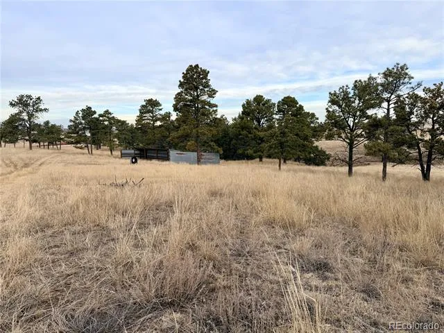 06 County Road 122 Ramah, CO 80832