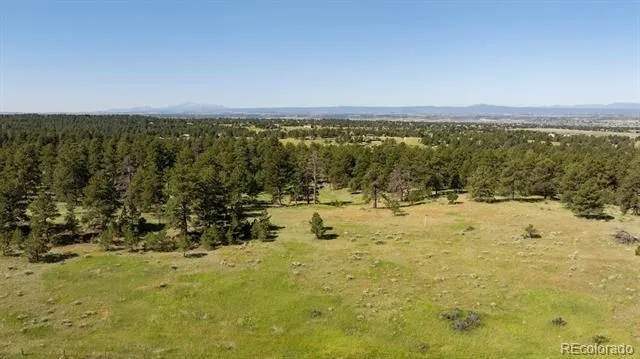 10348 Pine Song Place Parker, CO 80138