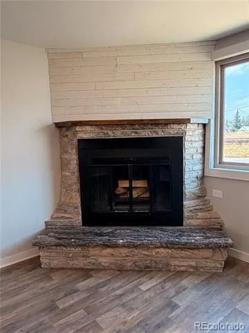 305 Chestnut Street Leadville, CO 80461