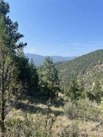 000 Raven Drive Idaho Springs, CO 80452