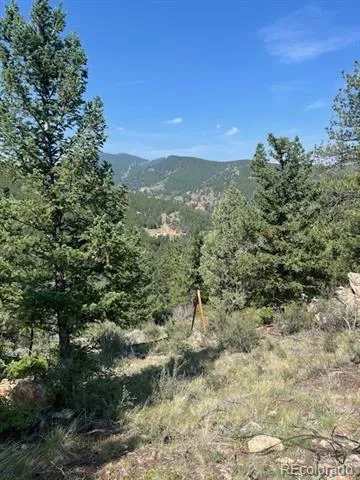 000 Raven Drive Idaho Springs, CO 80452