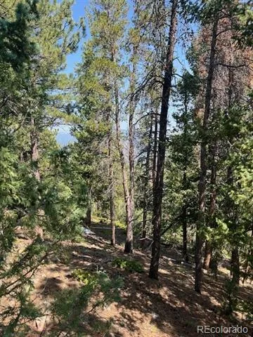 000 Raven Drive Idaho Springs, CO 80452