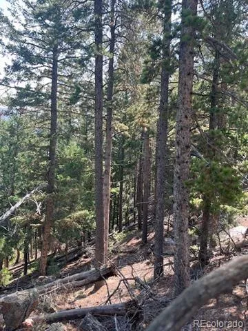 000 Raven Drive Idaho Springs, CO 80452
